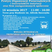  Festyn Organizacji Pozarządowych