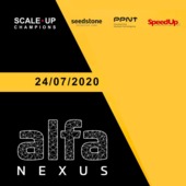 AlfaNEXUS – konsultacje biznesowe online